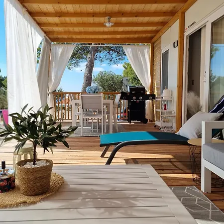 Mobile Blue Charm Dalmata *