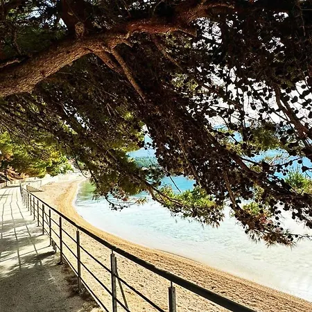 Mobile Blue Charm Dalmata