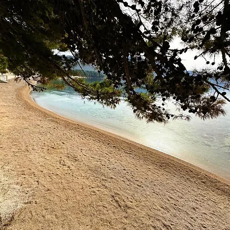 Mobile Blue Charm Dalmata * 奥瑞比克